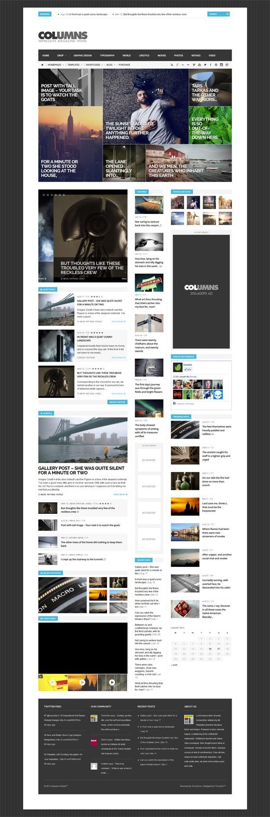 I will design professional WordPress websites and develop engaging blogs