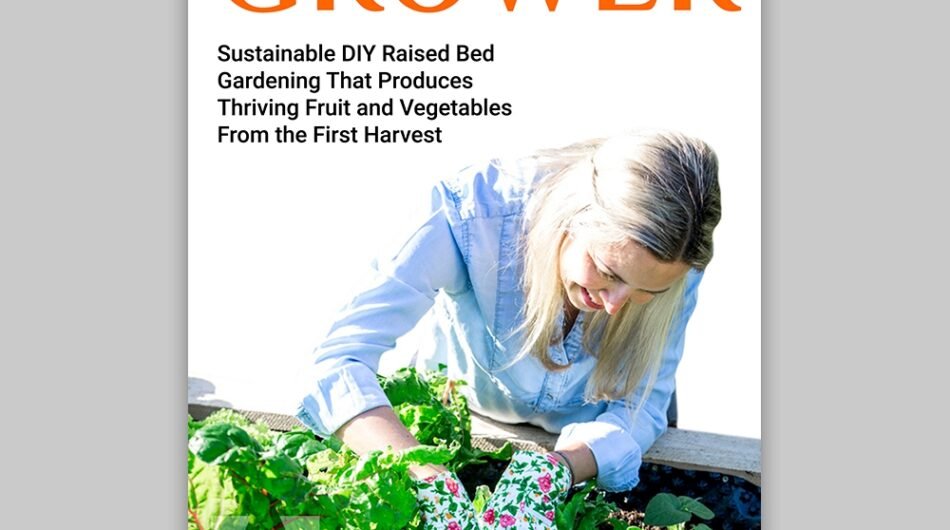 I-will-do-lawn-care-maintenance-mowing-gardening-or-landscape-logo-1