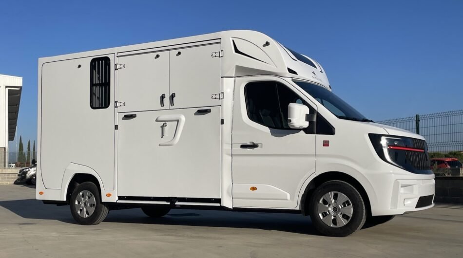 haras-3-side-1-1
