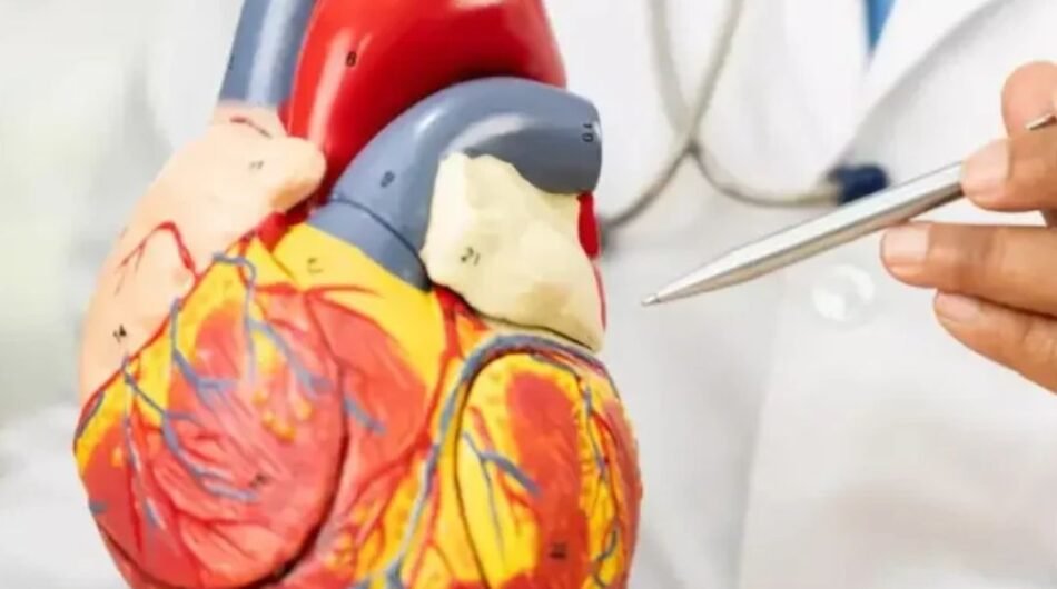 Best-Heart-Valve-Replacement-Surgeons-of-bangalore