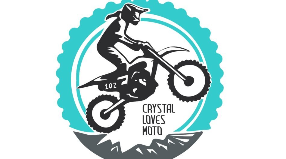 I-will-design-eye-catching-colorful-bike-logo-for-your-brand-5