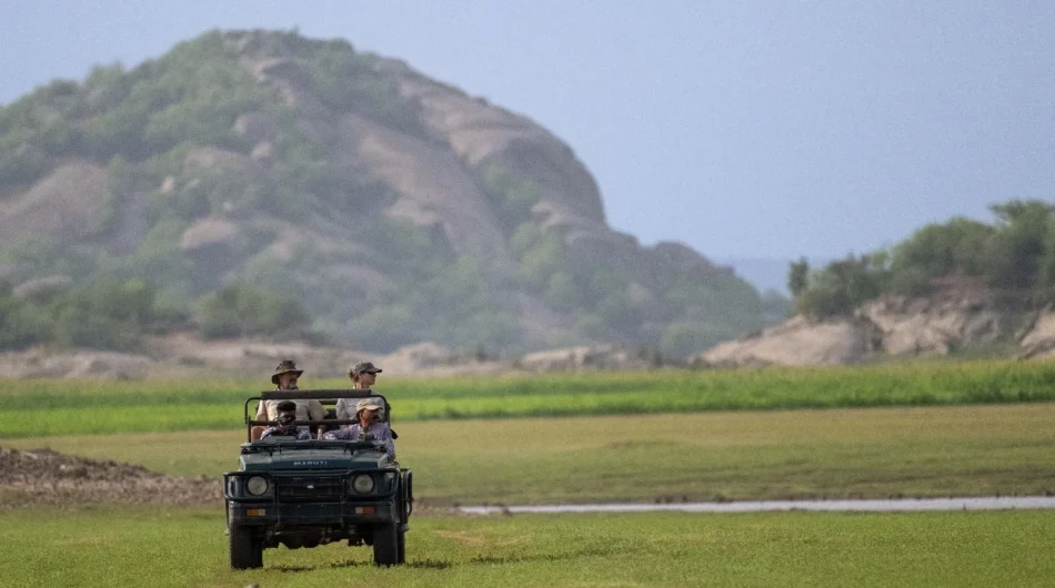 Ranthambore Wildlife Safari Tours