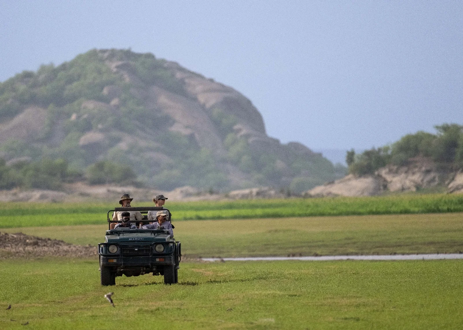 Ranthambore Wildlife Safari Tours