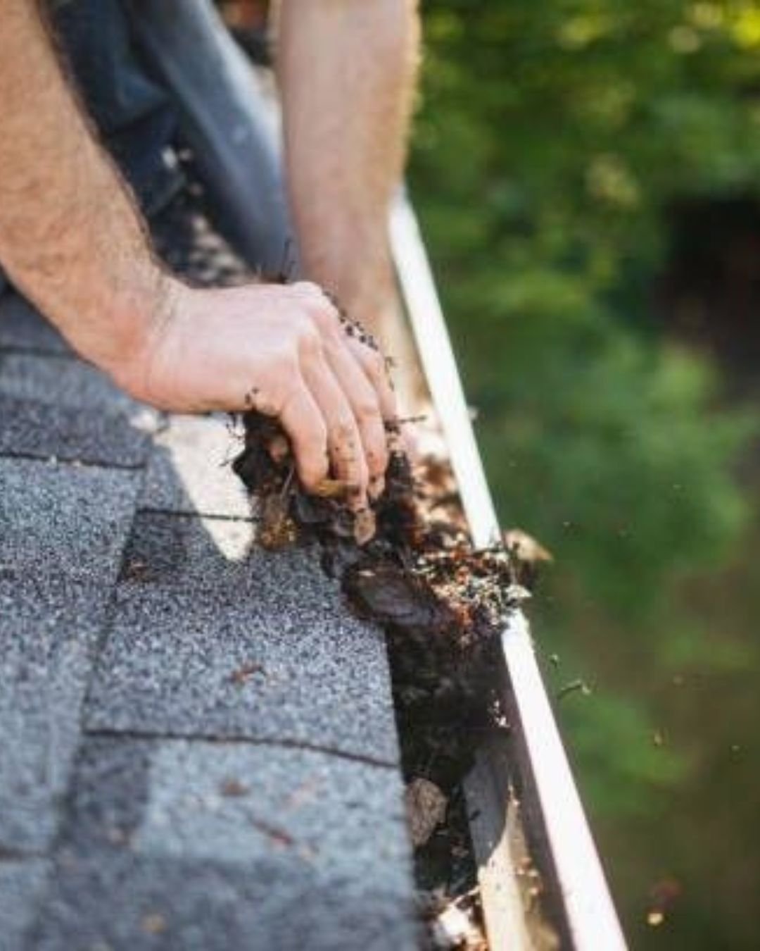 Knoxville Gutter Cleaning