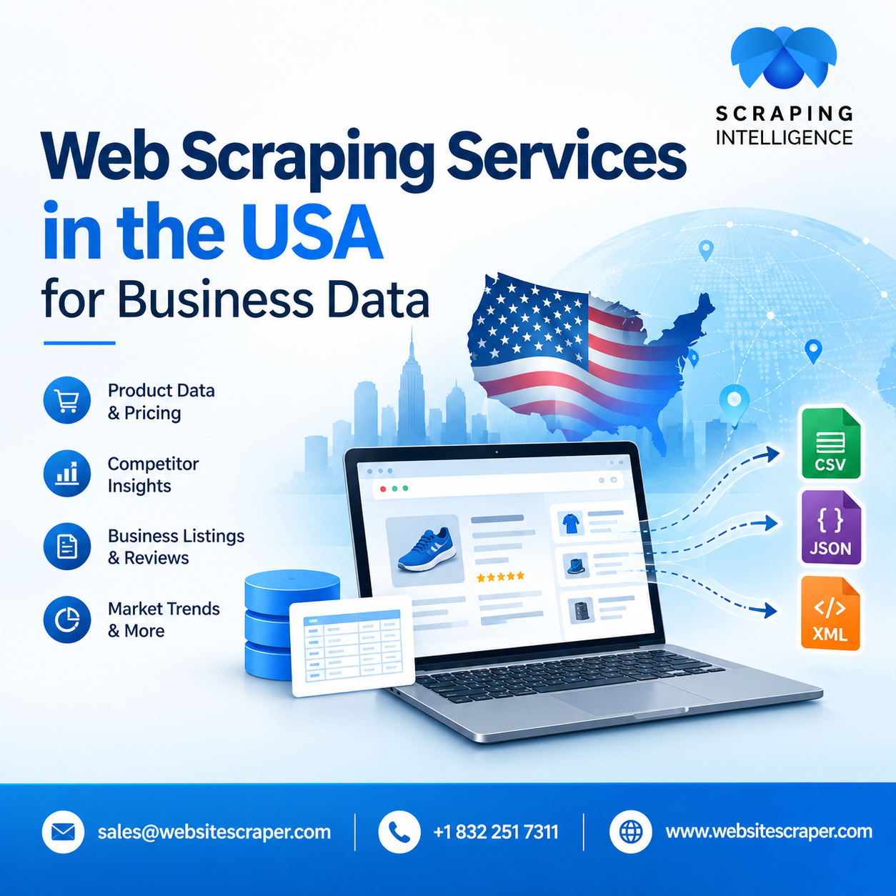 Professional Web Scraping Services for Data Extraction