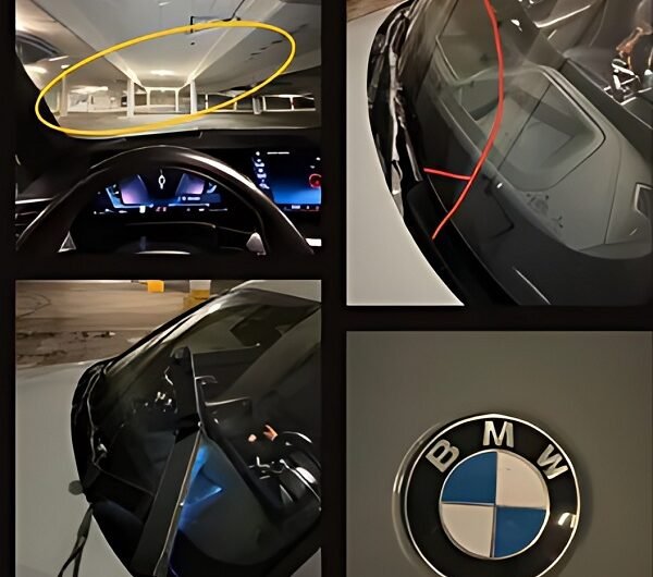 Windshield-Chip-Repair-Edmonton