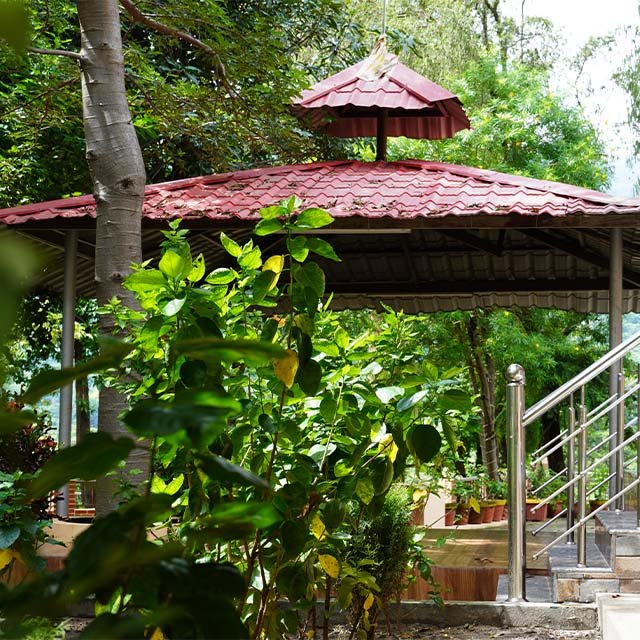 Yoga Teacher Training Course in Rishikesh – Experience Authentic Yogic Learning