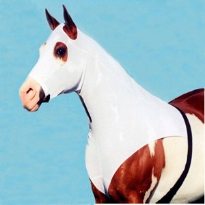 horse-hood