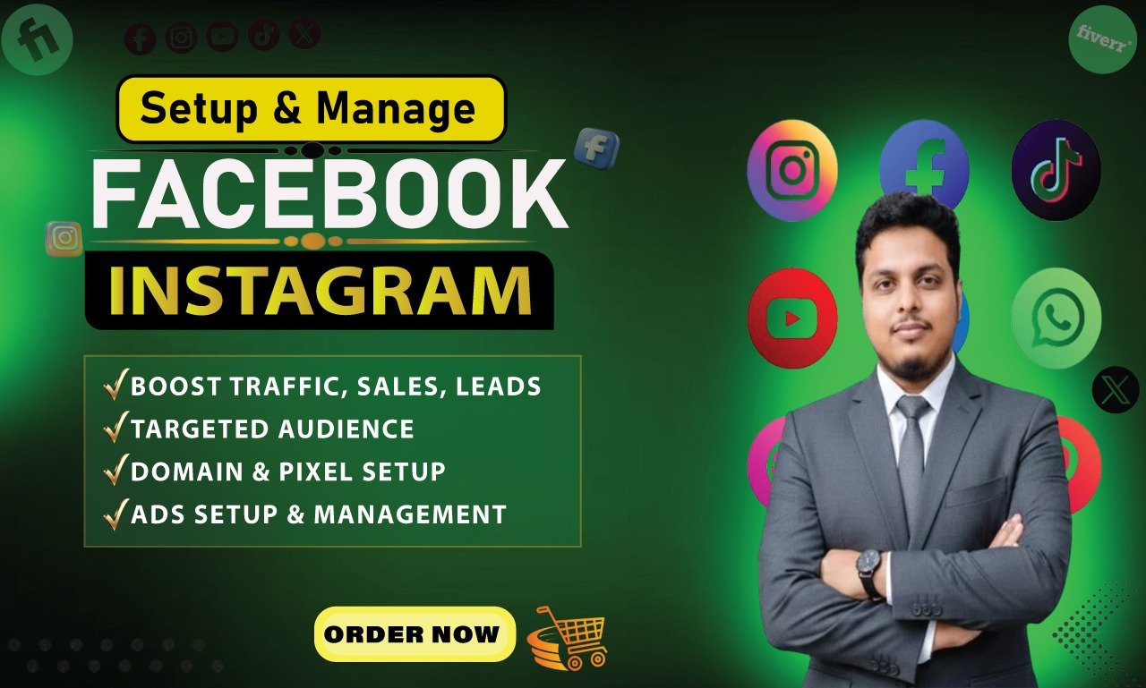 I will set up Facebook Instagram ads for leads and sales