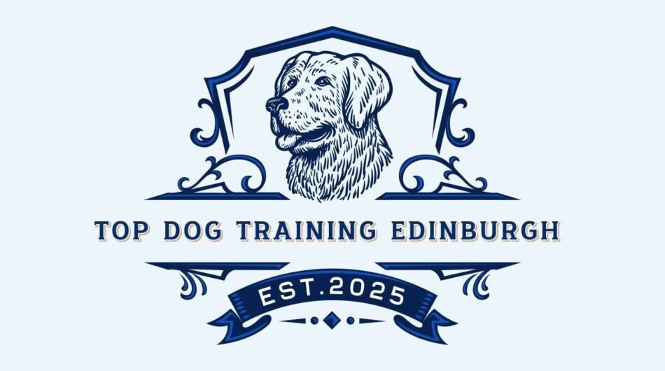top-dog
